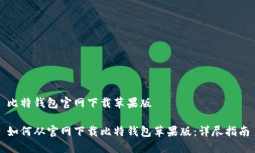 比特钱包官网下载苹果版

如何从官网下载比特钱包苹果版：详尽指南